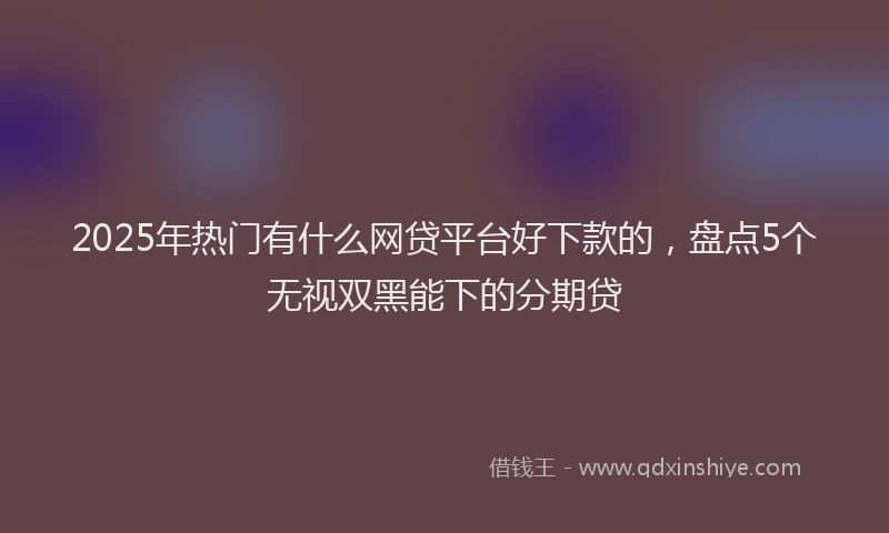2025年热门有什么网贷平台好下款的，盘点5个无视双黑能下的分期贷