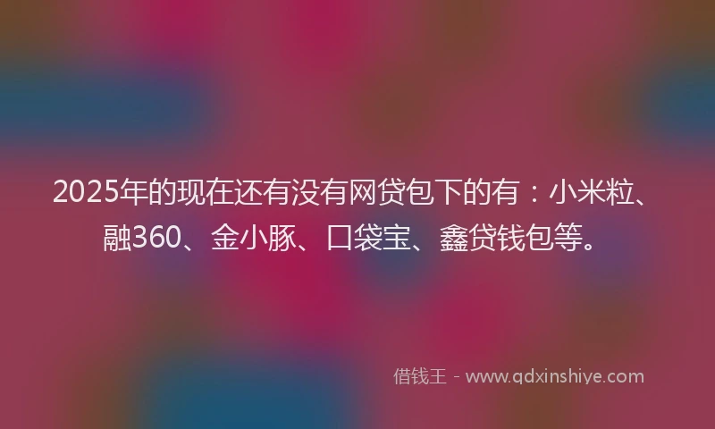 2025年的现在还有没有网贷包下的有：小米粒、融360、金小豚、口袋宝、鑫贷钱包等。