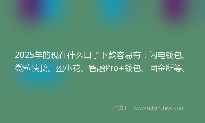 2025年的现在什么口子下款容易有：闪电钱包、微粒快贷、盈小花、智融Pro+钱包、固金所等。