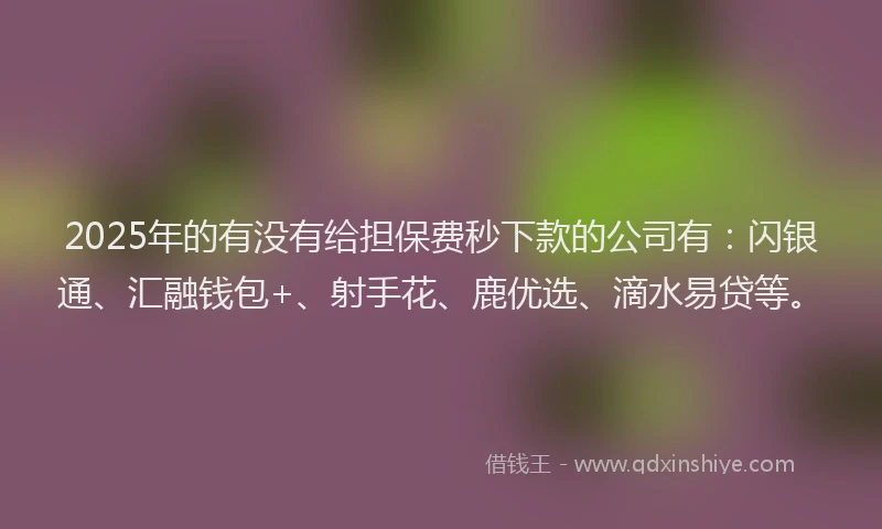 2025年的有没有给担保费秒下款的公司有：闪银通、汇融钱包+、射手花、鹿优选、滴水易贷等。