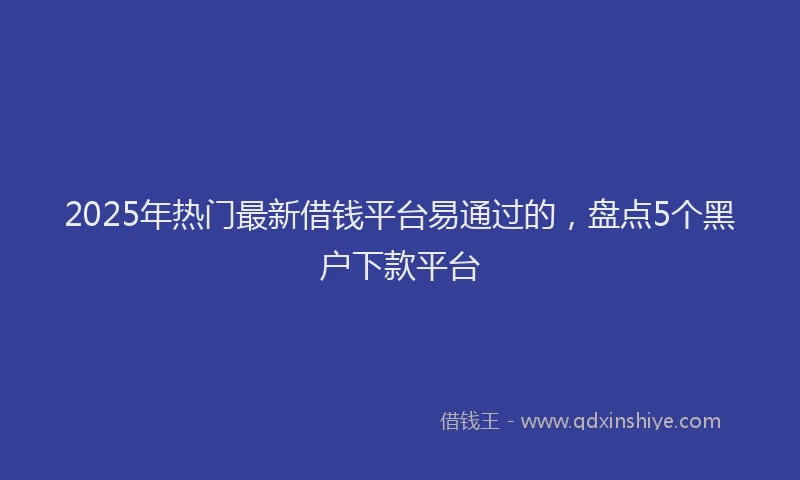 2025年热门最新借钱平台易通过的，盘点5个黑户下款平台