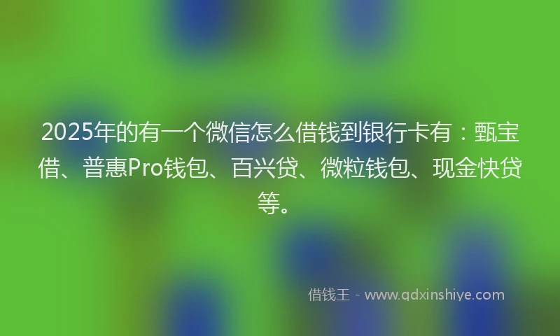 2025年的有一个微信怎么借钱到银行卡有：甄宝借、普惠Pro钱包、百兴贷、微粒钱包、现金快贷等。