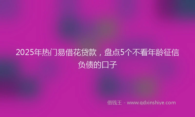 2025年热门易借花贷款，盘点5个不看年龄征信负债的口子