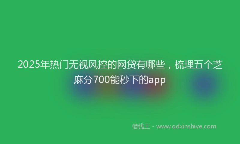 2025年热门无视风控的网贷有哪些，梳理五个芝麻分700能秒下的app