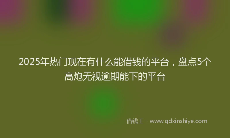 2025年热门现在有什么能借钱的平台，盘点5个高炮无视逾期能下的平台