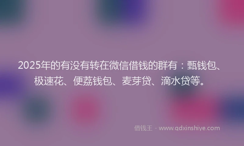 2025年的有没有转在微信借钱的群有：甄钱包、极速花、便荔钱包、麦芽贷、滴水贷等。
