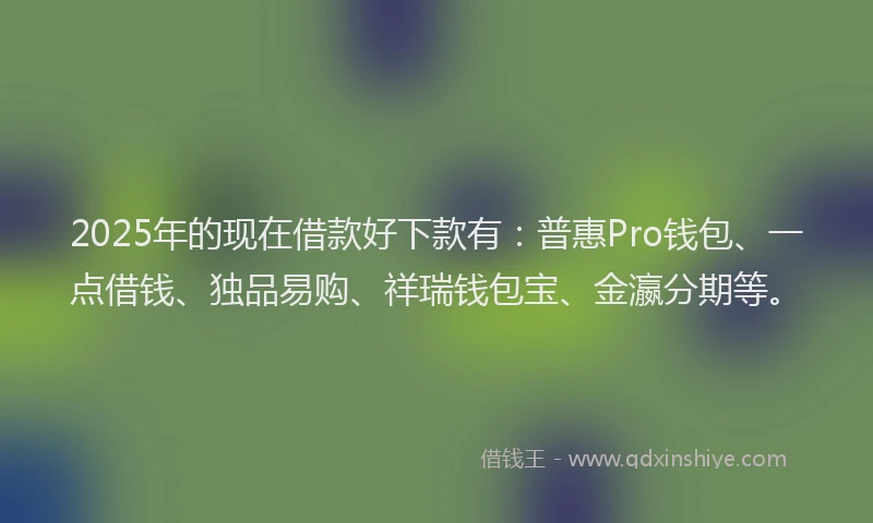 2025年的现在借款好下款有：普惠Pro钱包、一点借钱、独品易购、祥瑞钱包宝、金瀛分期等。