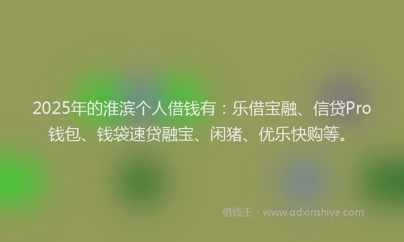 2025年的淮滨个人借钱有：乐借宝融、信贷Pro钱包、钱袋速贷融宝、闲猪、优乐快购等。