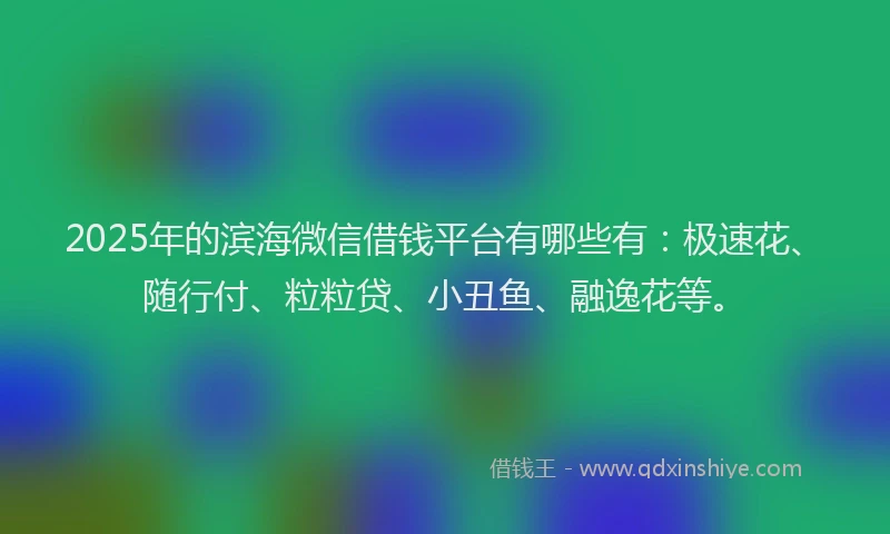 2025年的滨海微信借钱平台有哪些有：极速花、随行付、粒粒贷、小丑鱼、融逸花等。