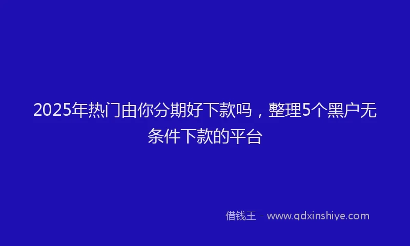 2025年热门由你分期好下款吗，整理5个黑户无条件下款的平台