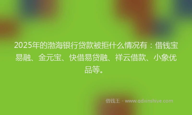 2025年的渤海银行贷款被拒什么情况有：借钱宝易融、金元宝、快借易贷融、祥云借款、小象优品等。