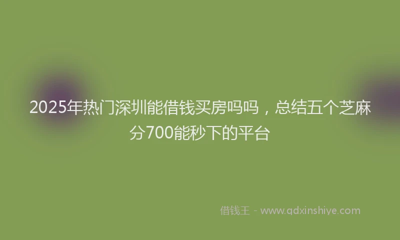 2025年热门深圳能借钱买房吗吗，总结五个芝麻分700能秒下的平台