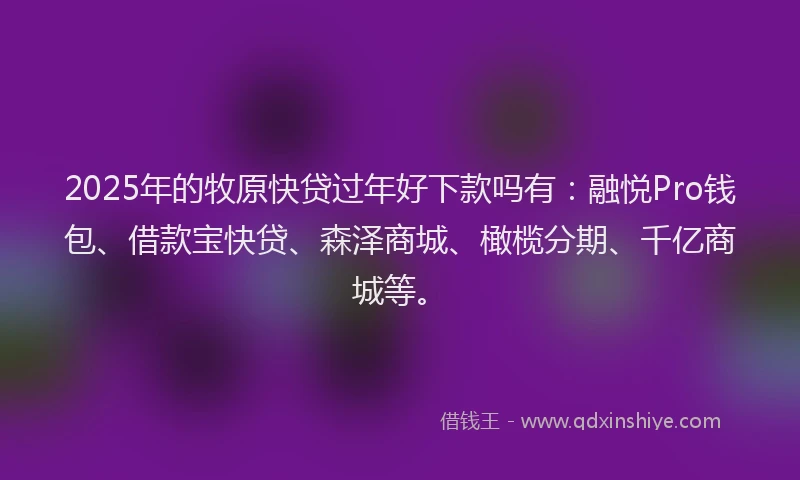 2025年的牧原快贷过年好下款吗有：融悦Pro钱包、借款宝快贷、森泽商城、橄榄分期、千亿商城等。
