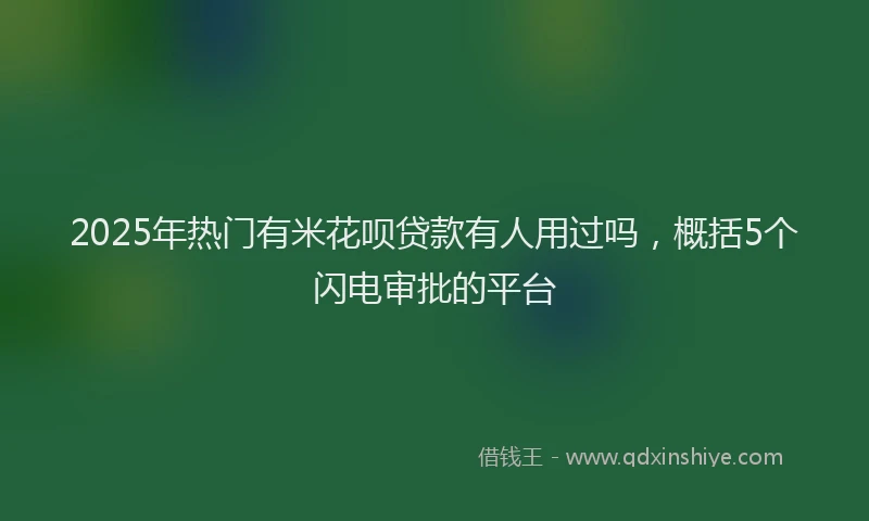 2025年热门有米花呗贷款有人用过吗，概括5个闪电审批的平台