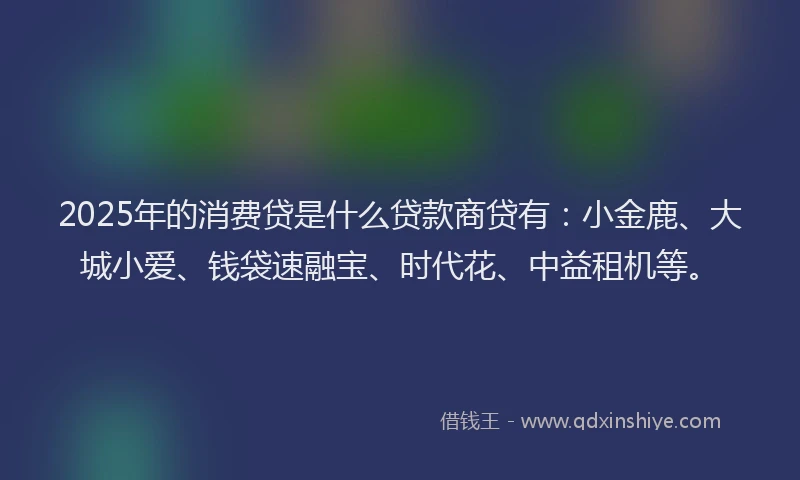 2025年的消费贷是什么贷款商贷有：小金鹿、大城小爱、钱袋速融宝、时代花、中益租机等。