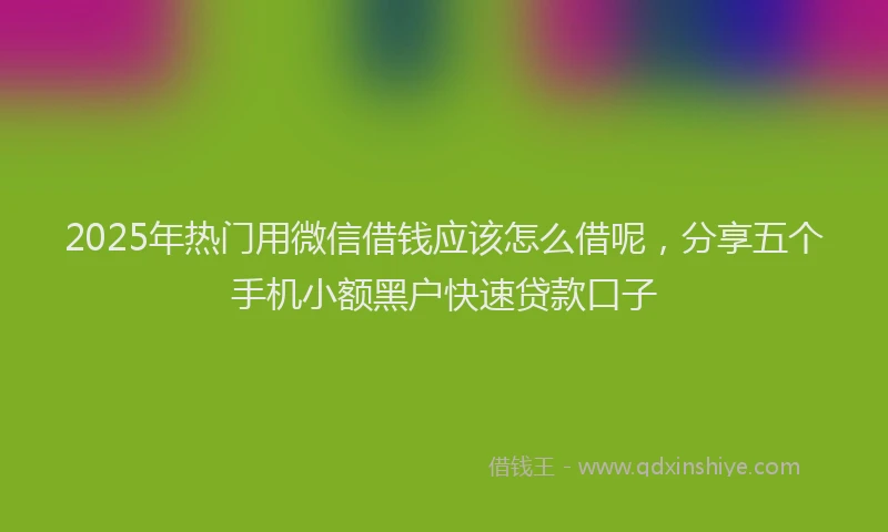 2025年热门用微信借钱应该怎么借呢，分享五个手机小额黑户快速贷款口子