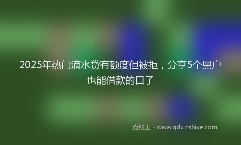 2025年热门滴水贷有额度但被拒，分享5个黑户也能借款的口子