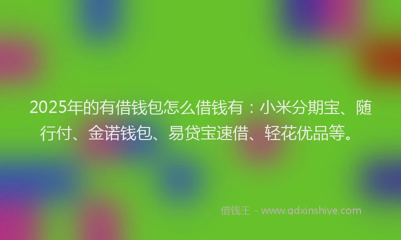 2025年的有借钱包怎么借钱有：小米分期宝、随行付、金诺钱包、易贷宝速借、轻花优品等。