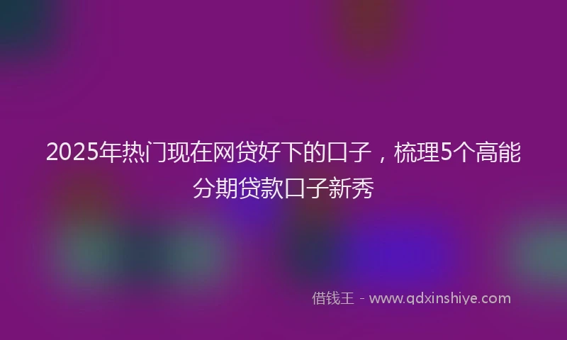 2025年热门现在网贷好下的口子，梳理5个高能分期贷款口子新秀