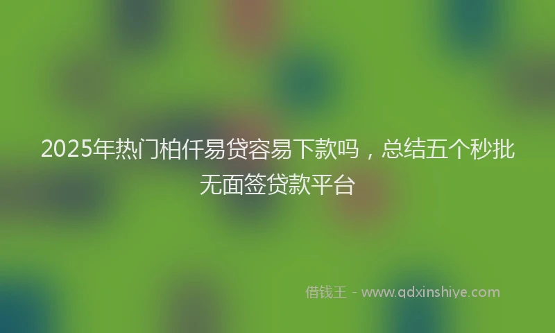2025年热门柏仟易贷容易下款吗，总结五个秒批无面签贷款平台