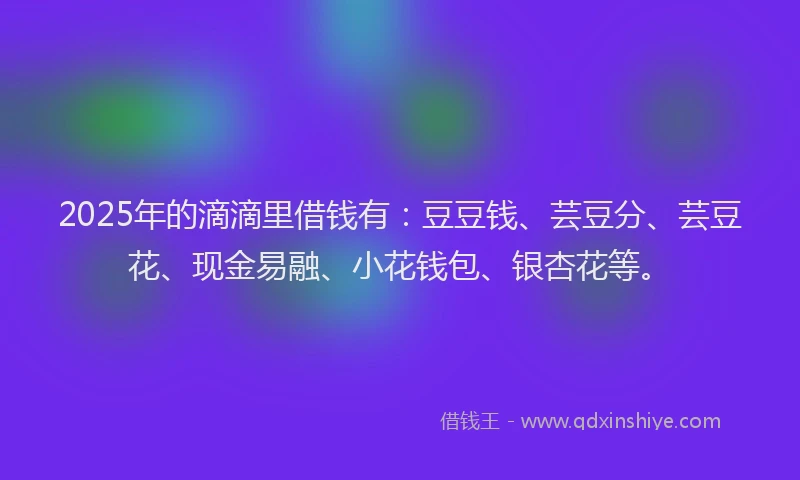 2025年的滴滴里借钱有：豆豆钱、芸豆分、芸豆花、现金易融、小花钱包、银杏花等。