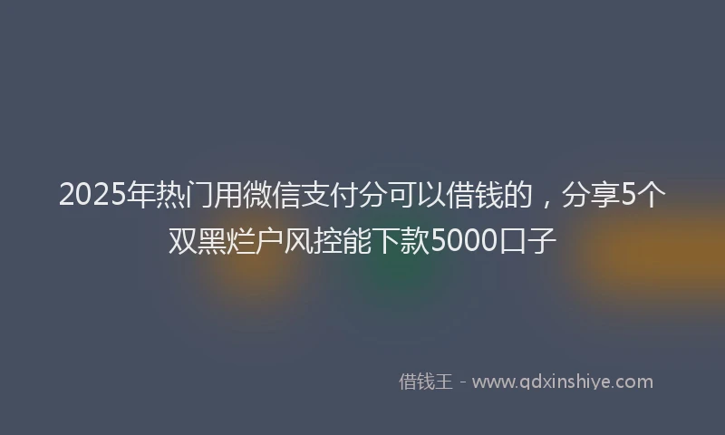 2025年热门用微信支付分可以借钱的，分享5个双黑烂户风控能下款5000口子