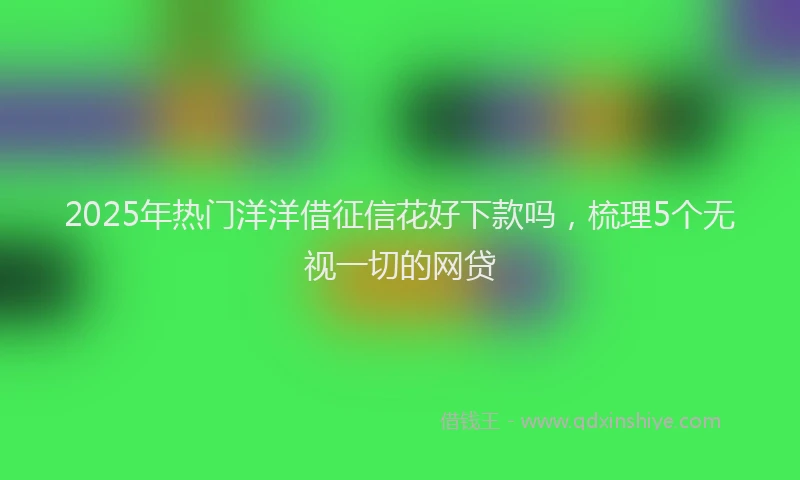 2025年热门洋洋借征信花好下款吗，梳理5个无视一切的网贷