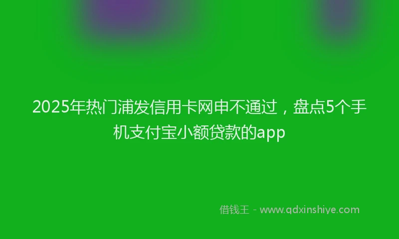 2025年热门浦发信用卡网申不通过，盘点5个手机支付宝小额贷款的app