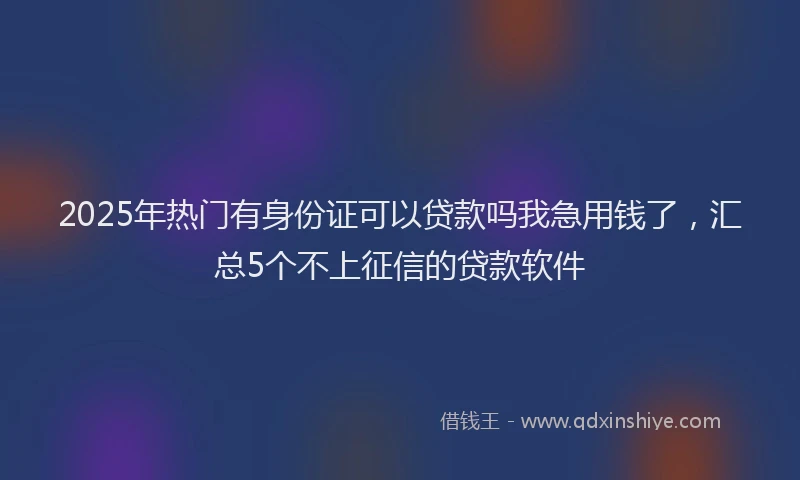 2025年热门有身份证可以贷款吗我急用钱了，汇总5个不上征信的贷款软件