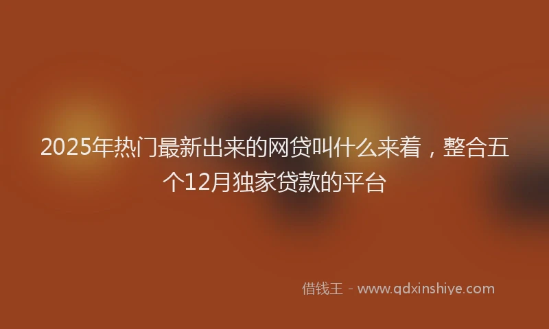 2025年热门最新出来的网贷叫什么来着，整合五个12月独家贷款的平台