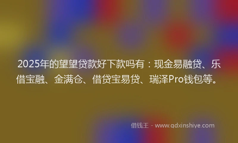 2025年的望望贷款好下款吗有：现金易融贷、乐借宝融、金满仓、借贷宝易贷、瑞泽Pro钱包等。