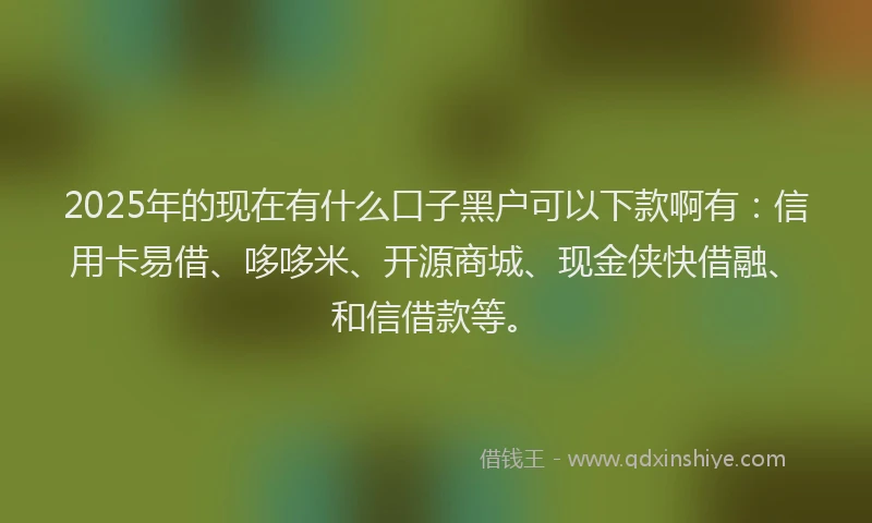 2025年的现在有什么口子黑户可以下款啊有：信用卡易借、哆哆米、开源商城、现金侠快借融、和信借款等。