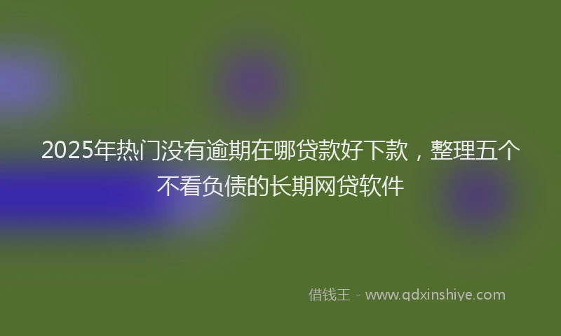 2025年热门没有逾期在哪贷款好下款，整理五个不看负债的长期网贷软件