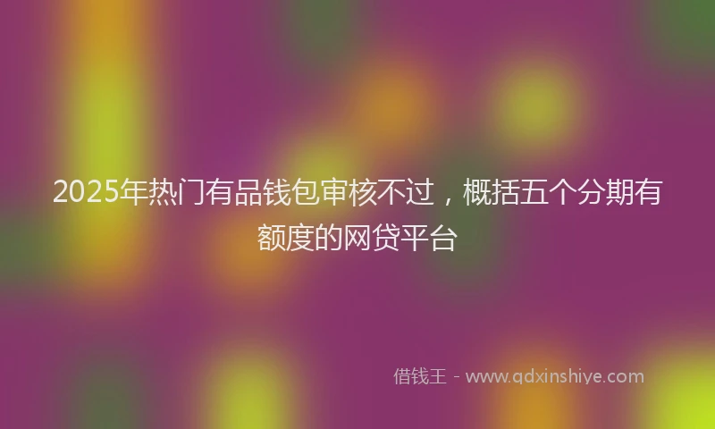 2025年热门有品钱包审核不过，概括五个分期有额度的网贷平台