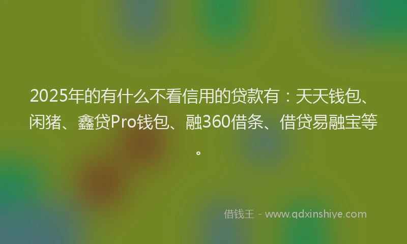 2025年的有什么不看信用的贷款有：天天钱包、闲猪、鑫贷Pro钱包、融360借条、借贷易融宝等。