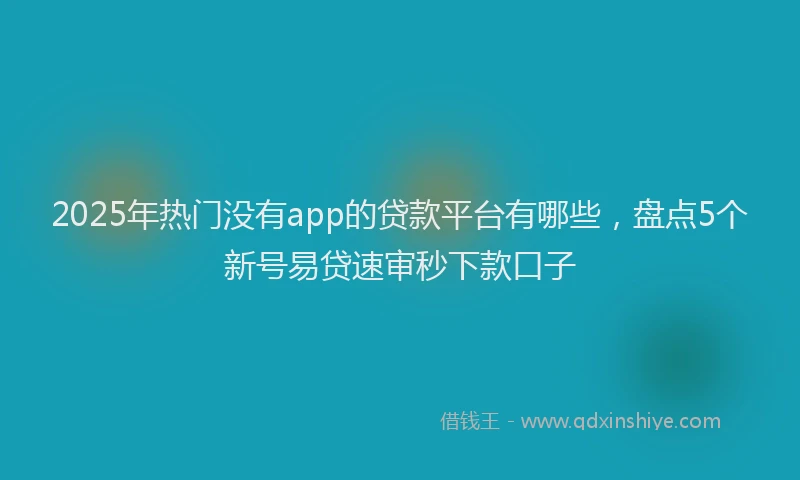2025年热门没有app的贷款平台有哪些，盘点5个新号易贷速审秒下款口子