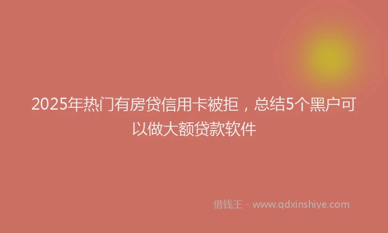 2025年热门有房贷信用卡被拒，总结5个黑户可以做大额贷款软件