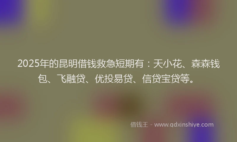 2025年的昆明借钱救急短期有：天小花、森森钱包、飞融贷、优投易贷、信贷宝贷等。