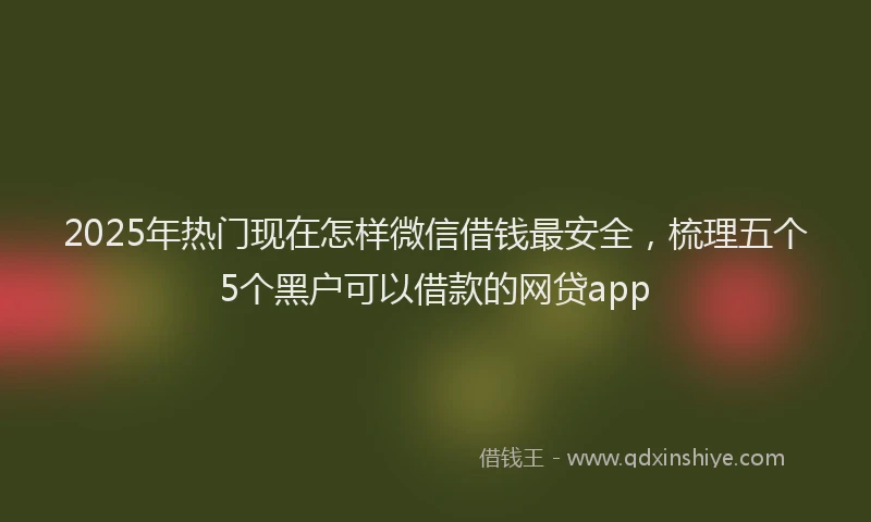2025年热门现在怎样微信借钱最安全，梳理五个5个黑户可以借款的网贷app