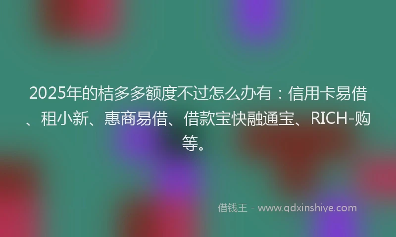 2025年的桔多多额度不过怎么办有：信用卡易借、租小新、惠商易借、借款宝快融通宝、RICH-购等。