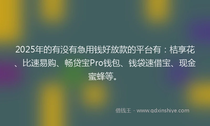 2025年的有没有急用钱好放款的平台有：桔享花、比速易购、畅贷宝Pro钱包、钱袋速借宝、现金蜜蜂等。