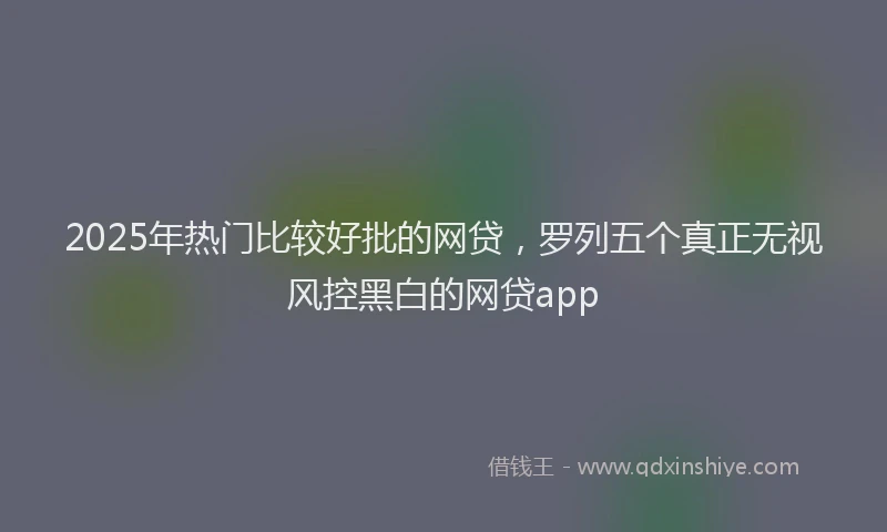 2025年热门比较好批的网贷，罗列五个真正无视风控黑白的网贷app