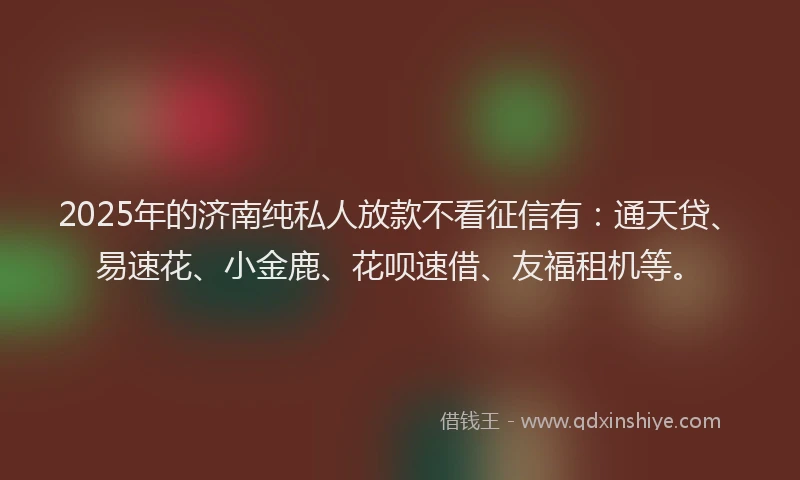 2025年的济南纯私人放款不看征信有：通天贷、易速花、小金鹿、花呗速借、友福租机等。