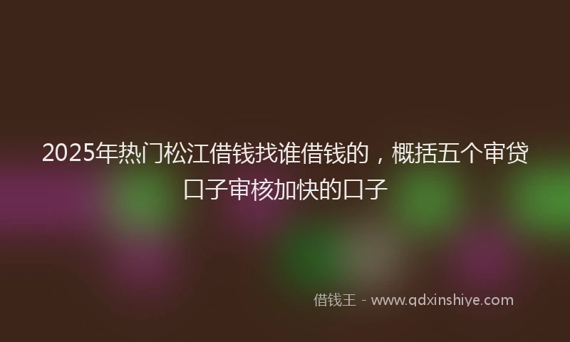 2025年热门松江借钱找谁借钱的，概括五个审贷口子审核加快的口子
