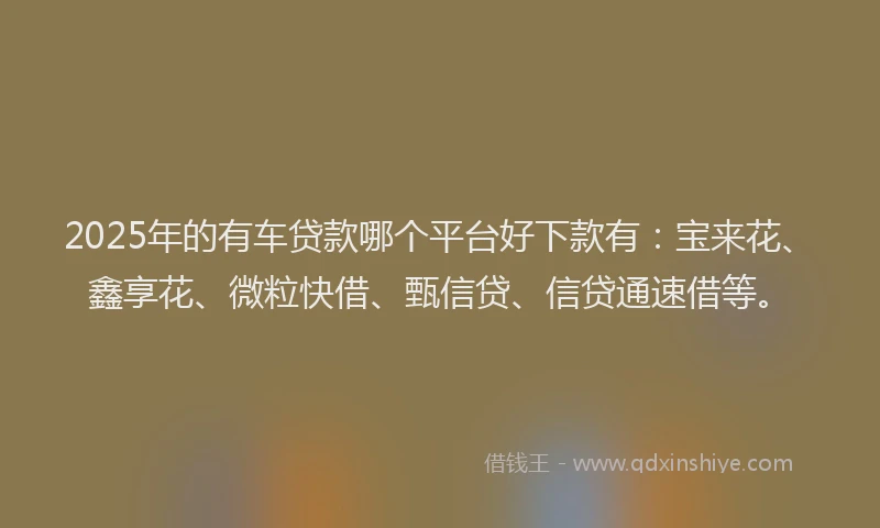 2025年的有车贷款哪个平台好下款有：宝来花、鑫享花、微粒快借、甄信贷、信贷通速借等。