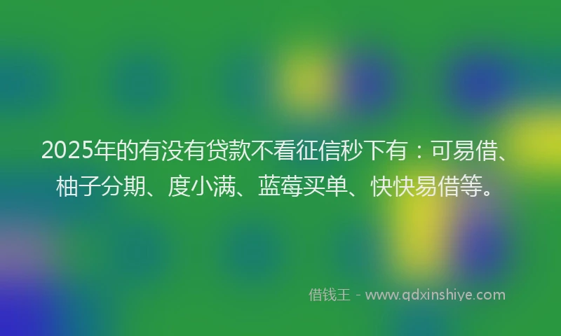2025年的有没有贷款不看征信秒下有：可易借、柚子分期、度小满、蓝莓买单、快快易借等。