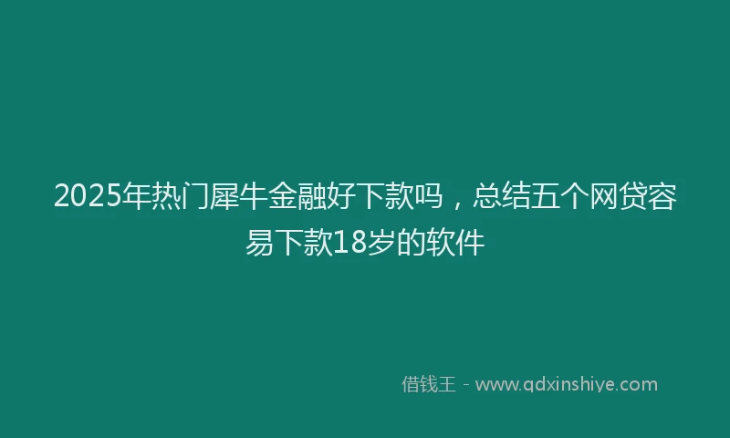2025年热门犀牛金融好下款吗，总结五个网贷容易下款18岁的软件