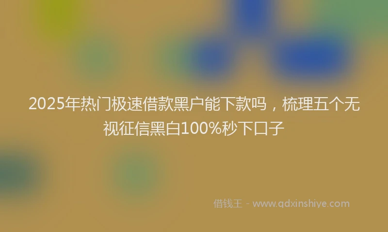 2025年热门极速借款黑户能下款吗，梳理五个无视征信黑白100%秒下口子