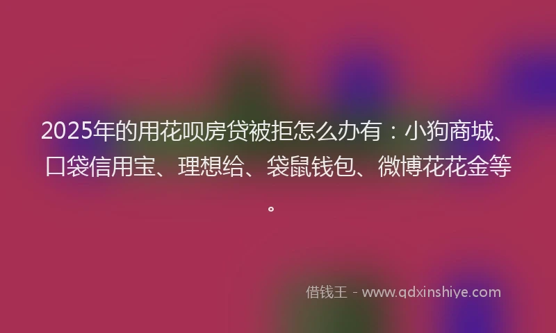 2025年的用花呗房贷被拒怎么办有：小狗商城、口袋信用宝、理想给、袋鼠钱包、微博花花金等。