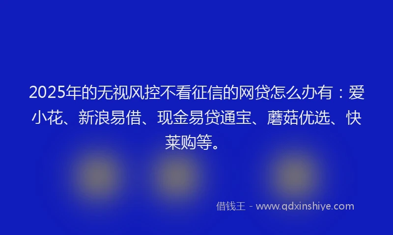 2025年的无视风控不看征信的网贷怎么办有：爱小花、新浪易借、现金易贷通宝、蘑菇优选、快莱购等。
